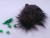Little Black Longhaired Guinea Pig Plushie