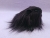 Little Black Longhaired Guinea Pig Plushie