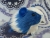 Little Blue Dutch Guinea Pig Plushie