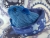 Little Blue Guinea Pig Plushie