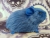 Little Blue Guinea Pig Plushie