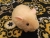 Little Buff Guinea Pig Plushie