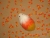 Little Candy Corn Guinea Pig Plushie