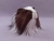 Little Dark Brown Dutch Longhaired Guinea Pig Plushie