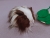 Little Dark Brown Dutch Longhaired Guinea Pig Plushie