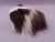 Little Dark Brown Dutch Longhaired Guinea Pig Plushie