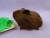 Little Dark Brown Guinea Pig Plushie