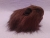 Little Dark Brown Longhaired Guinea Pig Plushie