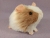 Little Frosted Pink Dutch Guinea Pig Plushie