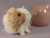 Little Frosted Pink Dutch Guinea Pig Plushie