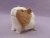 Little Golden Brown Dutch Guinea Pig Plushie