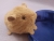 Little Golden Brown Guinea Pig Plushie