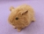 Little Golden Brown Guinea Pig Plushie