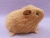 Little Golden Brown Guinea Pig Plushie