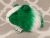 Little Green Dutch Guinea Pig Plushie