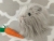 Little Grey Longhaired Guinea Pig Plushie