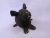 Little Black Hairless Guinea Pig Plushie
