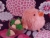 Little Hot Pink Guinea Pig Plushie