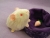Little Ivory Guinea Pig Plushie