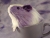 Little Lavender Dutch Guinea Pig Plushie