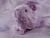 Little Lavender Guinea Pig Plushie