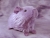 Little Lavender Guinea Pig Plushie