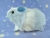 Little Light Blue Dutch Guinea Pig Plushie (Smooth)