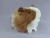 Little Light Brown Dutch Guinea Pig Plushie