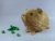 Little Light Brown Guinea Pig Plushie