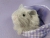 Little Light Grey Guinea Pig Plushie