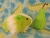 Little Lime Green Dutch Guinea Pig Plushie