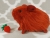 Little Maroon Guinea Pig Plushie