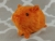 Little Orange Guinea Pig Plushie