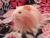 Little Pink Longhaired Dutch Guinea Pig Plushie