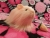 Little Pink Longhaired Guinea Pig Plushie