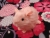 Little Pinkie Guinea Pig Plushie