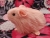 Little Pinkie Guinea Pig Plushie