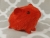 Little Red Guinea Pig Plushie