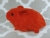 Little Red Guinea Pig Plushie