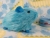 Little Turquoise Guinea Pig Plushie