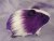 Little Violet Dutch Guinea Pig Plushie