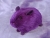 Little Violet Guinea Pig Plushie