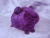 Little Violet Guinea Pig Plushie