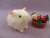 Little White Guinea Pig Plushie