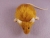 Chubby Ginger Mouse Plushie