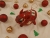 Maroon Checkered Guinea Pig Ornament