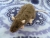 Mink Hooded Rat Plushie