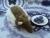 Mink Hooded Rat Plushie