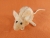 Peach Mouse Plushie