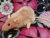 Pink Rat Plushie